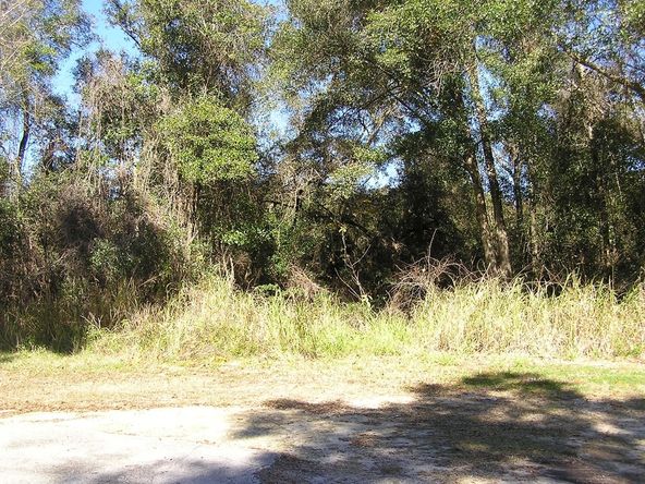 Ideal Multi-family Land Waiting For Development: S Elsasser St, DeLand, FL 32720